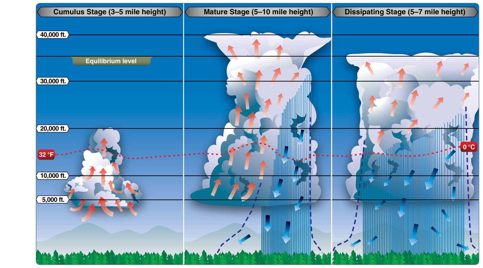 Figure 12-28 Thunderstorm life cycle